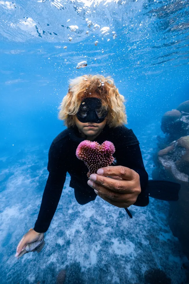 Corals arranged in a heart