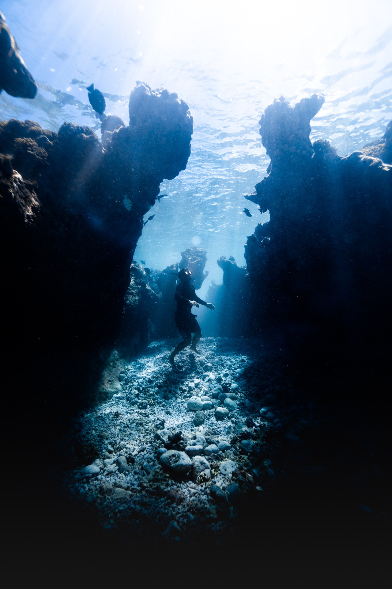 A freediver in an underwater canyon